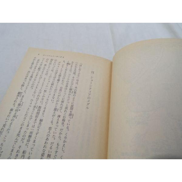 幻想小説[ムーンシェイ・サーガ 6.暗黒の解放] 富士見ドラゴンノベルズ