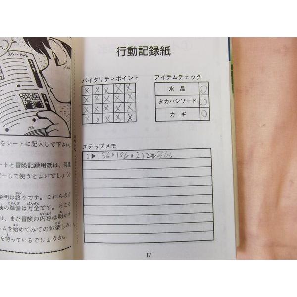 高橋名人の冒険島 ティナを救い出せ！ 塩田信之 双葉社 : FUNFUNほうむ