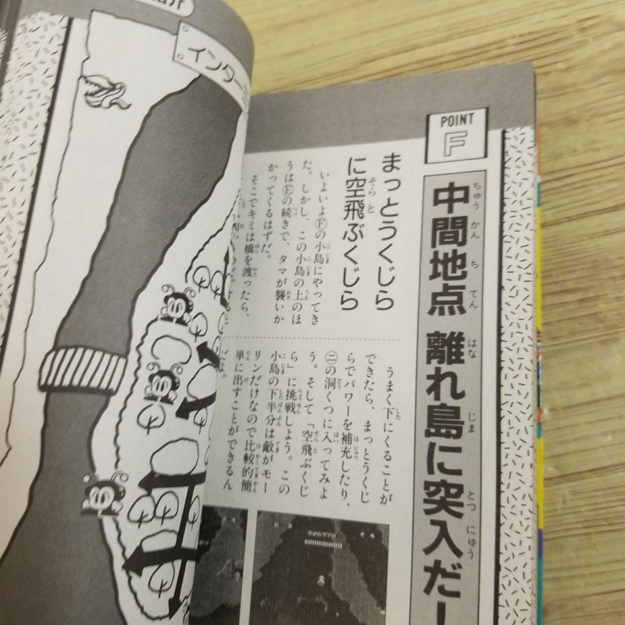 攻略本[ファミリーコンピュータ ゲーム必勝法シリーズ 11 攻略本[ファミリーコンピュータ ゲーム必勝法シリーズ 11