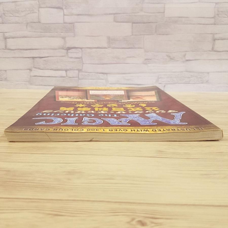 TCG[マジック：ザ・ギャザリング 公式百科事典(1998年初版)] MTG ベス