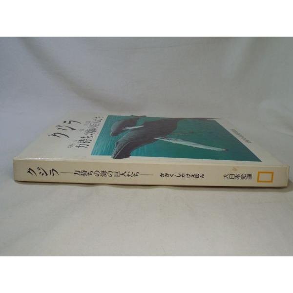 仕掛絵本[クジラ 力持ちの海の巨人たち かがく・しかけえほん（難有り 