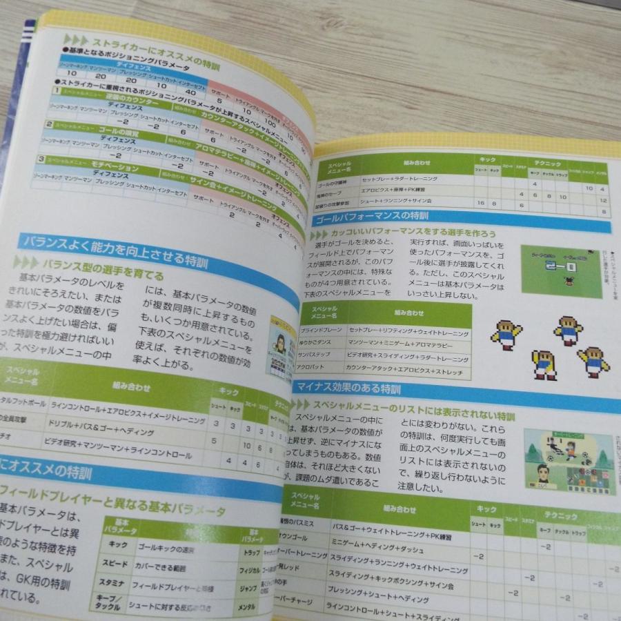 攻略本[サッカーチーム育成シミュレーション カルチョビット ザ 