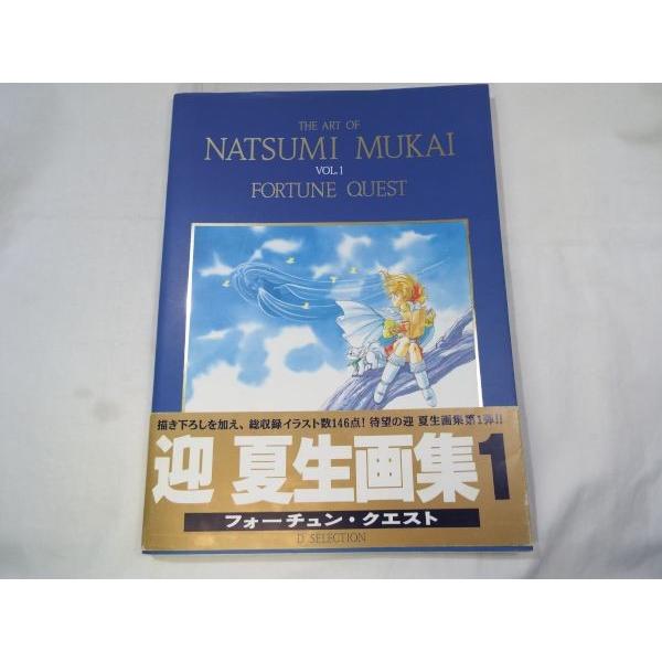 迎 夏生画集 Vol.1 フォーチュン・クエスト 迎夏生 メディア