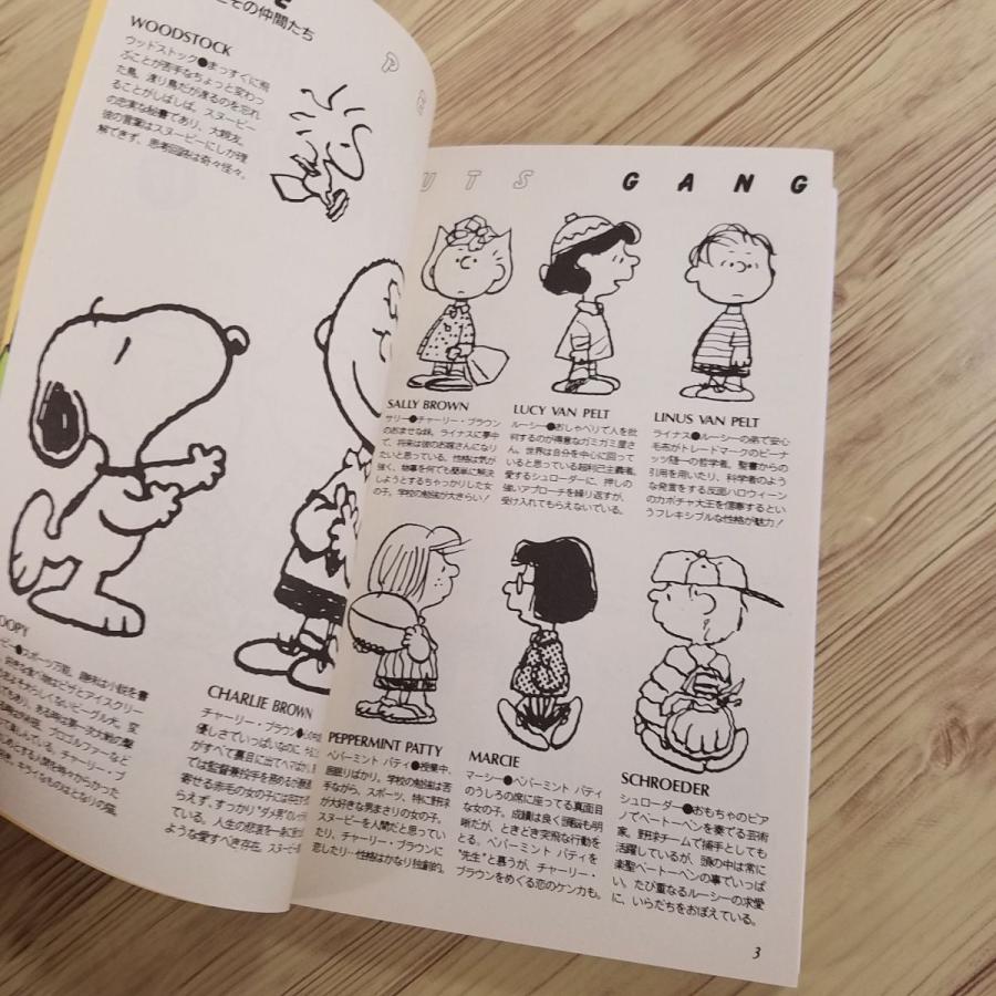 コミック[ピーナッツブック フィーチャリング スヌーピー 17