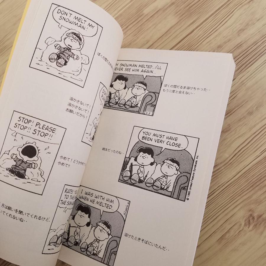 ピーナッツブックフューチャリング　スヌーピー1巻-17巻とスヌーピーの英和辞典 ピーナッツブックフューチャリング スヌーピー1巻-17巻とスヌーピーの