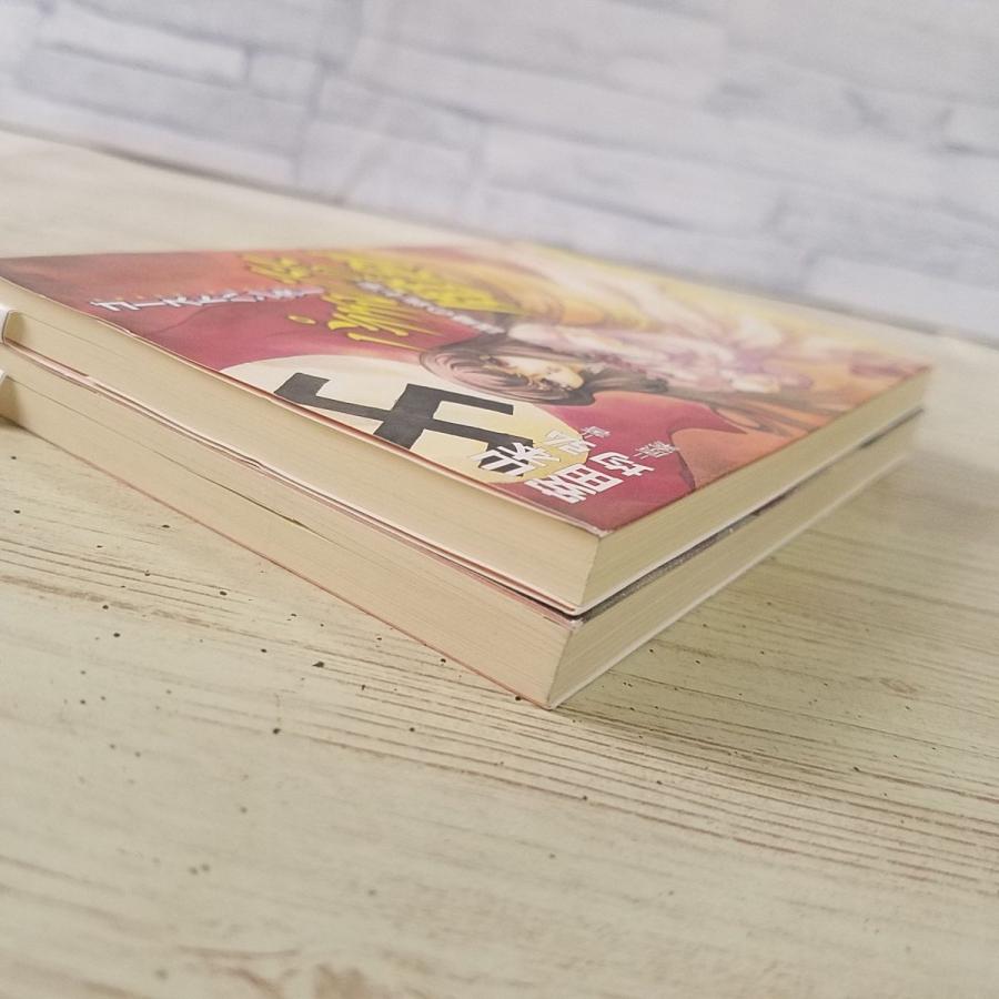 怪奇小説[ゴーストハンター パラケルススの魔剣 2冊セット（謀略の鉤