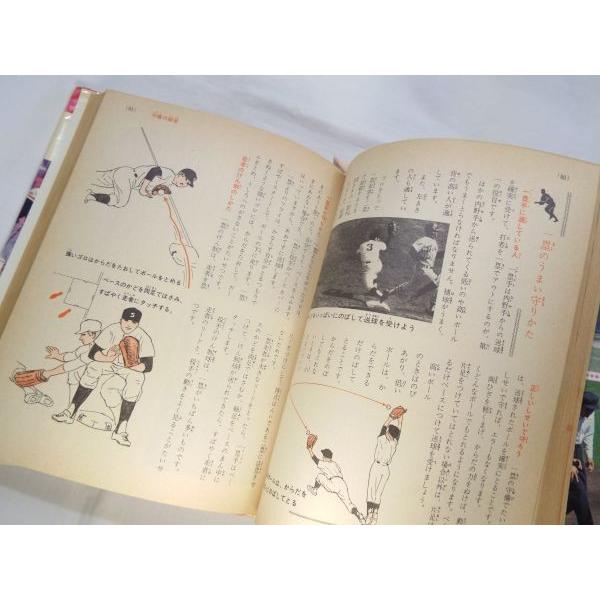 野球入門 基礎編 小学館 : FUNFUNほうむず - 通販 - Yahoo!ショッピング