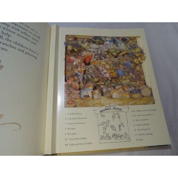 のばらの村のものがたり 3Dポップアップブック（洋書） ジル 
