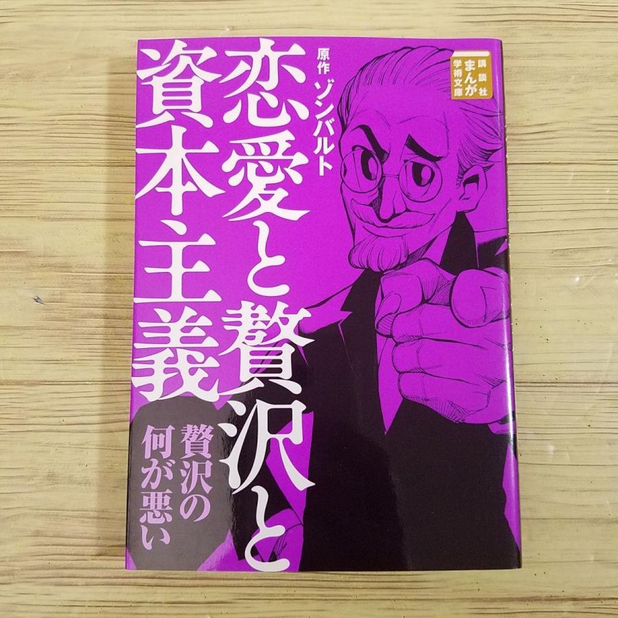 講談社まんが学術文庫 １４冊セット コミック[まんが学術文庫 恋愛と贅沢と資本主義（ゾンバルト原作