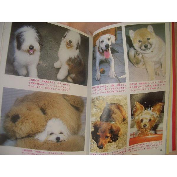 動物関連 みんな犬になりたい 小林深雪 ビーグル絵本 シール付 Boko0027etc3978x5221 Funfunほうむず 通販 Yahoo ショッピング