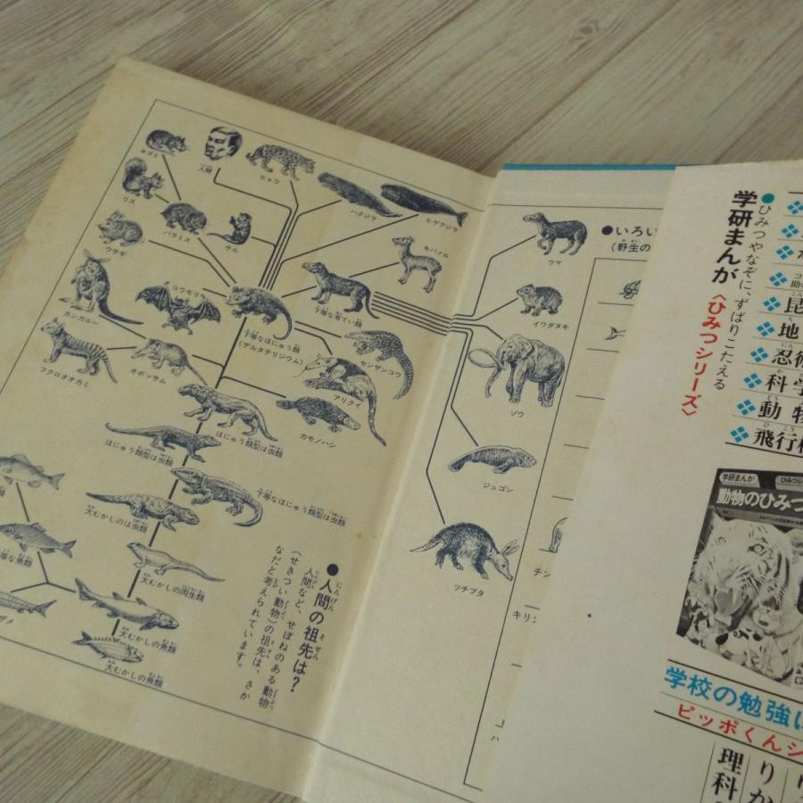 学研まんが ひみつシリーズ からだのひみつ（昭和48年6月第6刷・難有り