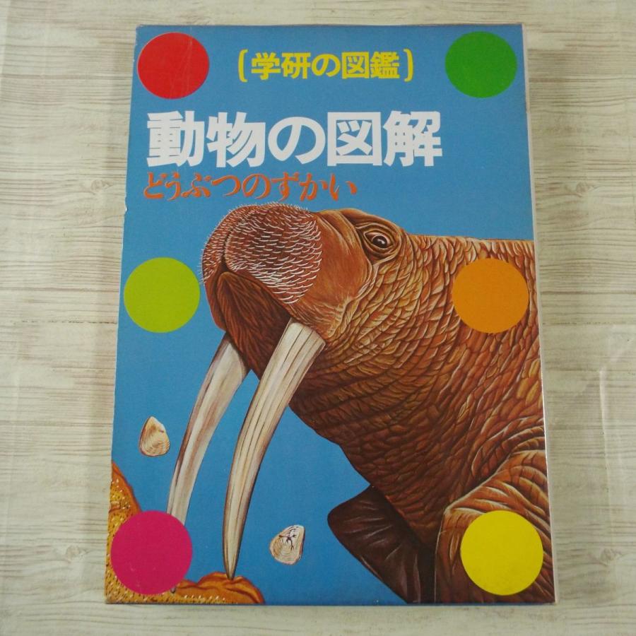 図鑑[学研の図鑑 動物の図解（箱あり）（昭和62年第19刷）] 様々な動物