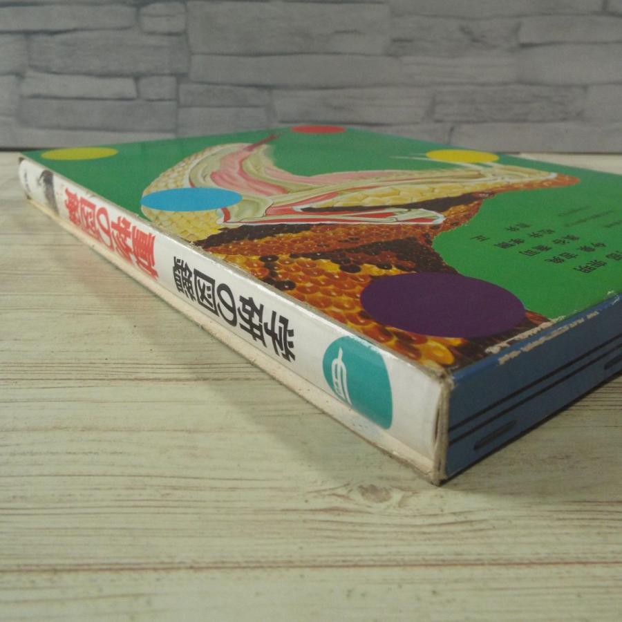 図鑑[学研の図鑑 動物の図解（箱あり）（昭和62年第19刷）] 様々な動物