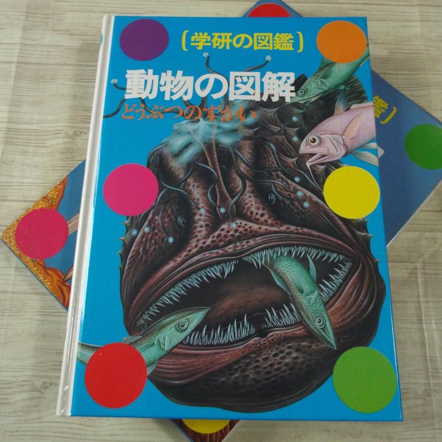 図鑑[学研の図鑑 動物の図解（箱あり）（昭和62年第19刷）] 様々な動物