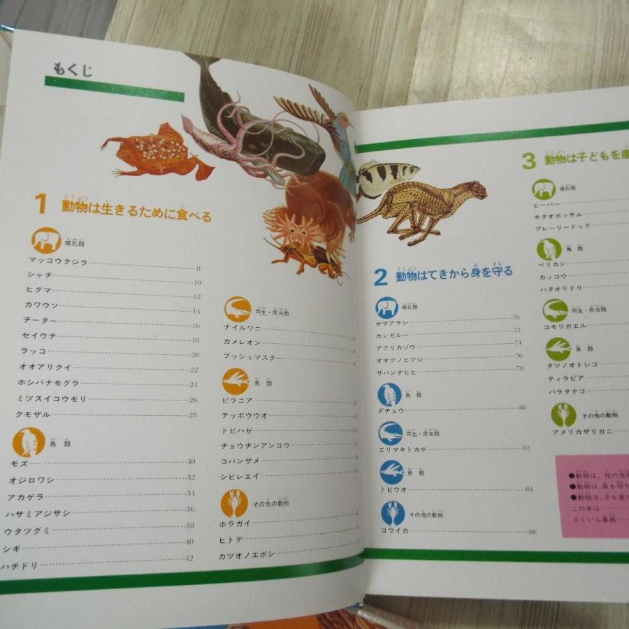 図鑑[学研の図鑑 動物の図解（箱あり）（昭和62年第19刷）] 様々な動物