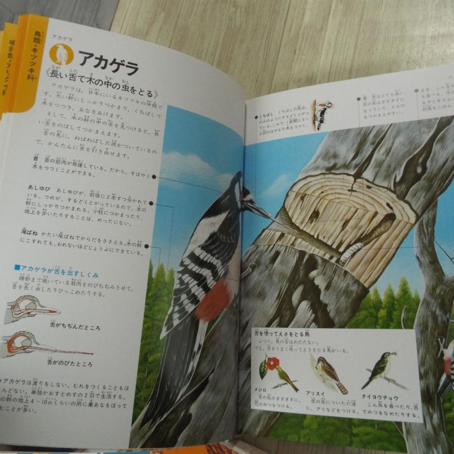 図鑑[学研の図鑑 動物の図解（箱あり）（昭和62年第19刷）] 様々な動物