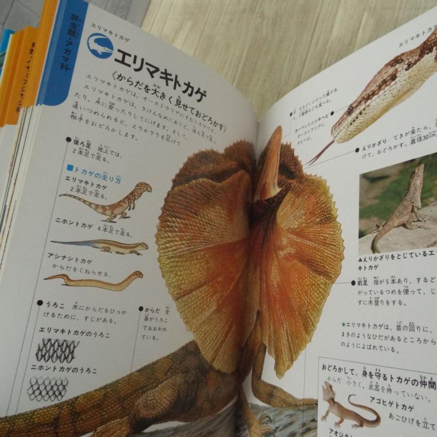 図鑑[学研の図鑑 動物の図解（箱あり）（昭和62年第19刷）] 様々な動物