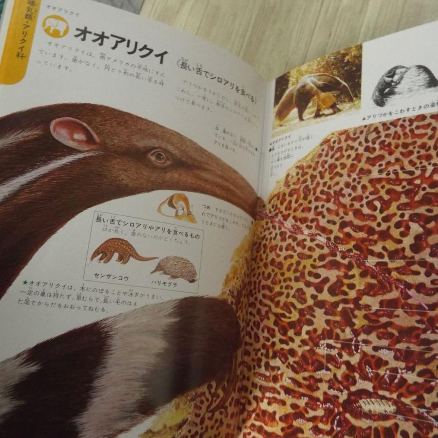 図鑑[学研の図鑑 動物の図解（箱あり）（昭和62年第19刷）] 様々な動物