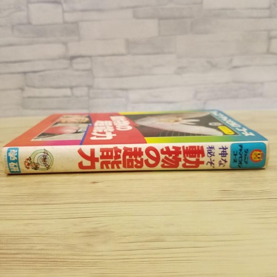 期間限定特価】雑学[ジュニア・チャンピオン・コース なぞ神秘 動物の