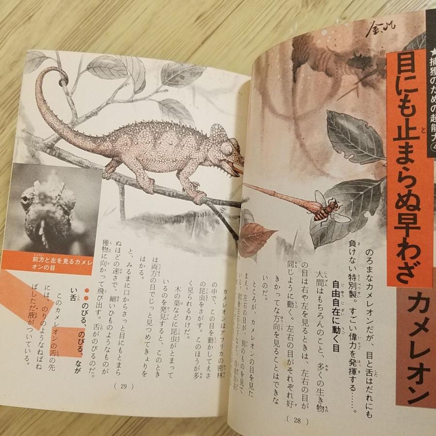 雑学[ジュニア・チャンピオン・コース なぞ神秘 動物の超能力（昭和49