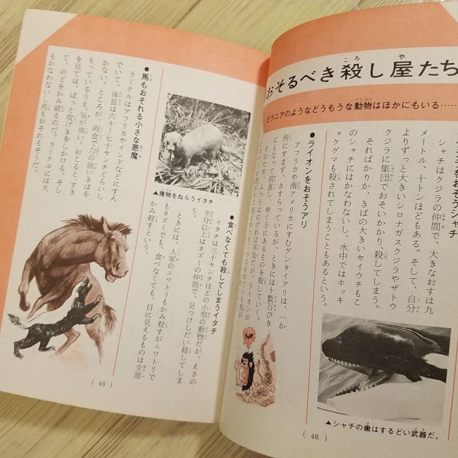 雑学[ジュニア・チャンピオン・コース なぞ神秘 動物の超能力（昭和49年11月第2刷）] 昭和レトロ レトロ児童書｜funfunhomes｜12