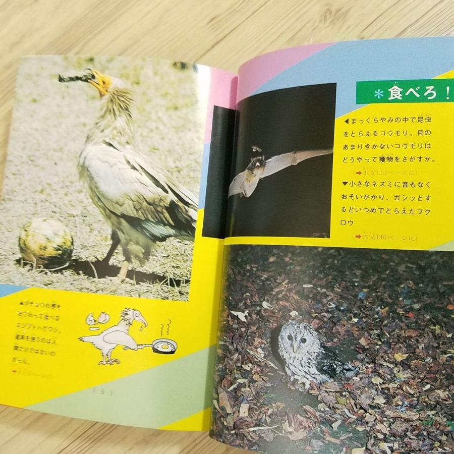 期間限定特価】雑学[ジュニア・チャンピオン・コース なぞ神秘 動物の