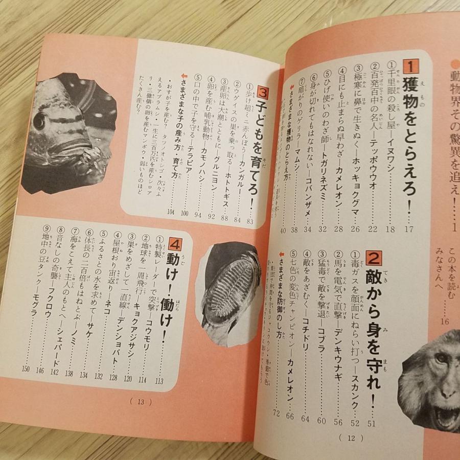 雑学[ジュニア・チャンピオン・コース なぞ神秘 動物の超能力（昭和49