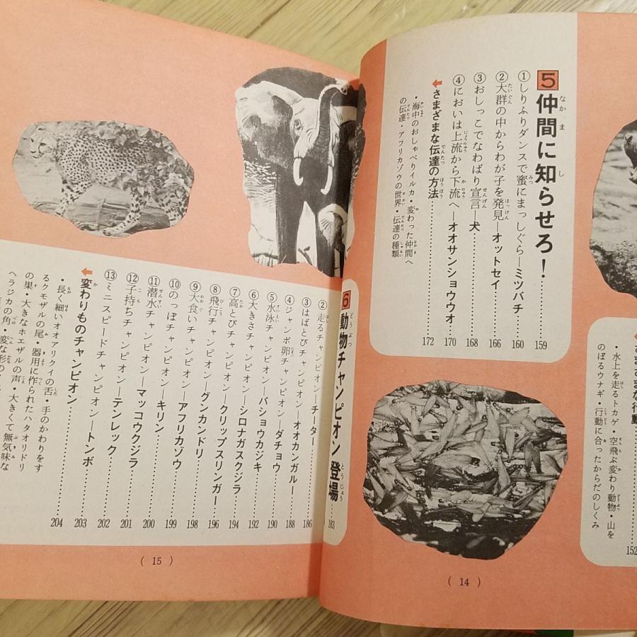 期間限定特価】雑学[ジュニア・チャンピオン・コース なぞ神秘 動物の