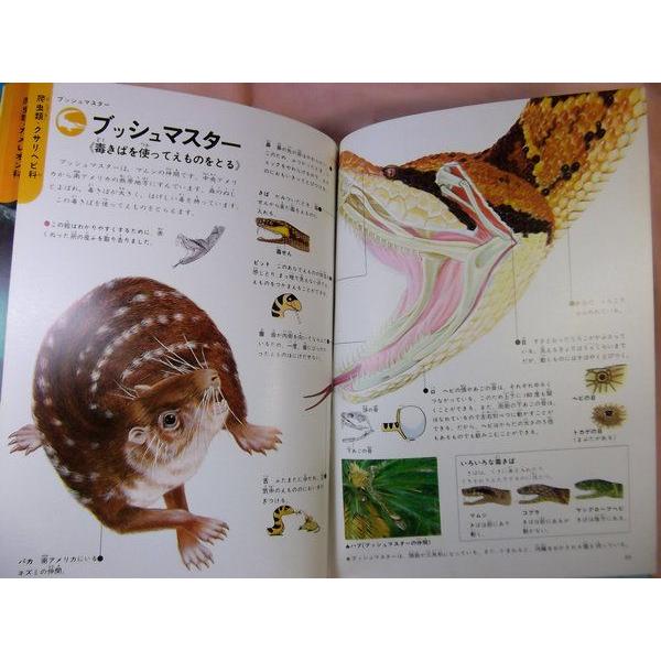 学研の図鑑 動物の図解 学研 : FUNFUNほうむず - 通販 - Yahoo