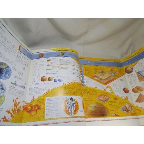 図鑑[比較大図鑑] 世界15カ国 国際共同出版 23種の図解 大型本