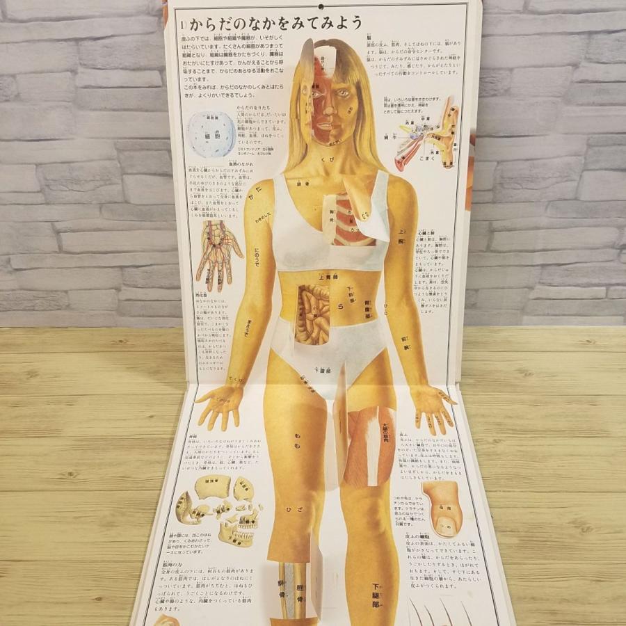 【廃盤品】美品✨人体絵本 : めくってわかるからだのしくみ 人体絵本: めくってわかる・からだのしくみ | ジュリアーノ