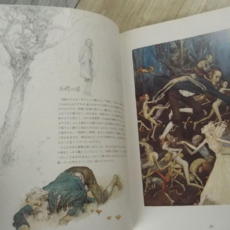 画集[フェアリー（1989年新装版／サンリオ・山室静訳）] ブライアン