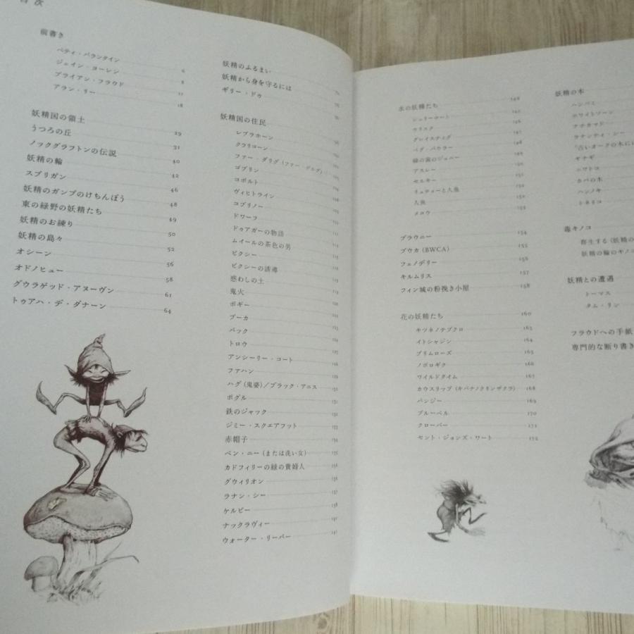 画集[フェアリー 愛蔵版] 2014年発行 グラフィック社 ブライアン