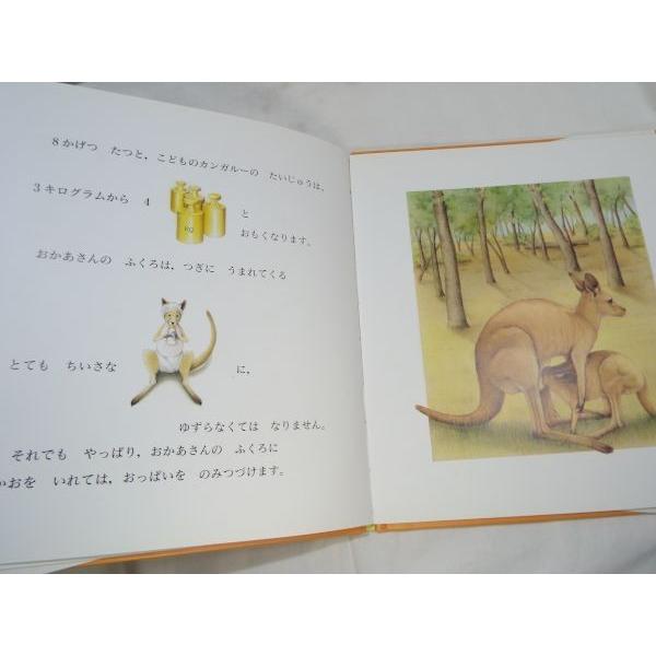 はじめて であう どうぶつえほん カンガルー ナディヌ ソーニエ 文 パスカル ビルト 絵 大日本図書 Boko0138chx Funfunほうむず 通販 Yahoo ショッピング