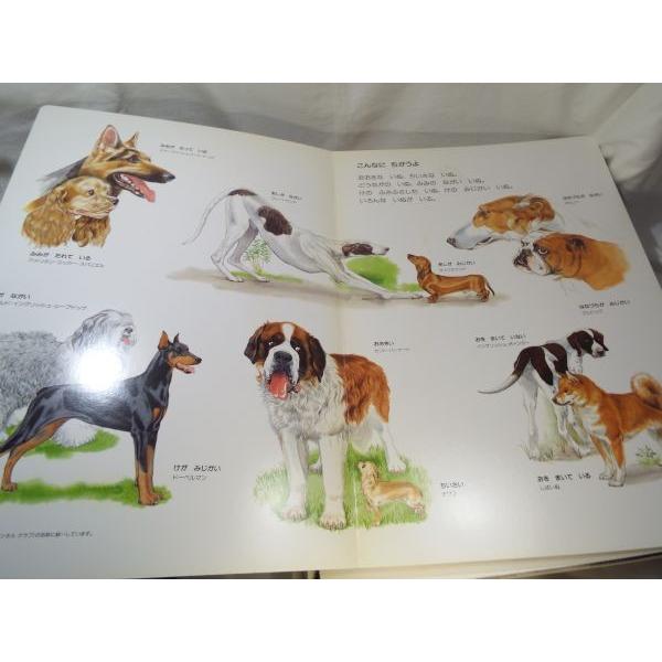 【値下げ♪】知育絵本 超特大図鑑 百科事典 『 BIG CHUM ビッグチャム はじめての ずかんえほん / 全12巻セット 』 USED 知育絵本[ビッグチャム はじめてのずかんえほん 全12冊セット] ブック