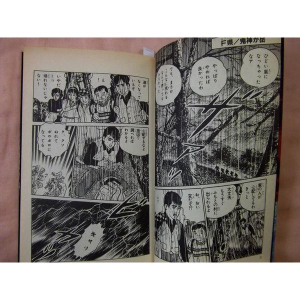 恐怖！ゾンビのいけにえ 岬マヤ 立風書房 : FUNFUNほうむず - 通販