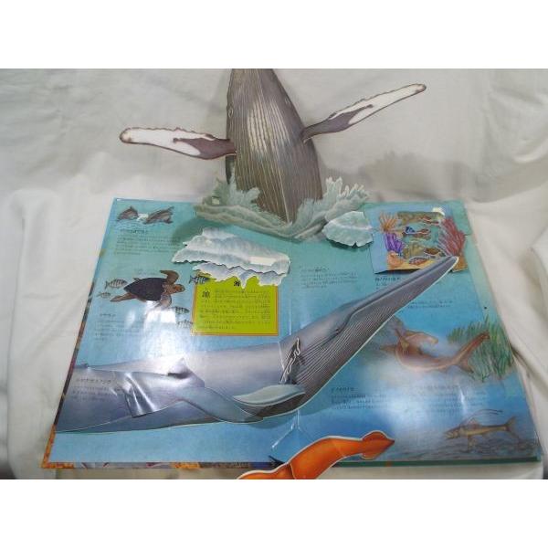 とびだす海の世界 究極のポップアップ図鑑 大型本（大型本） とびだす海の世界 究極のポップアップ図鑑 大型本（大型本