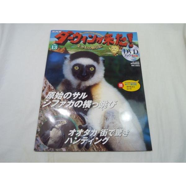 NHKダーウィンが来た！ DVDブック13 シファカ／オオタカ 朝日新聞出版