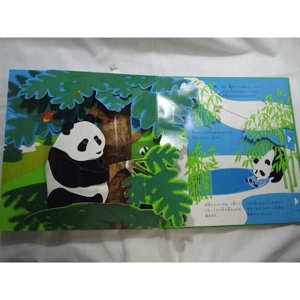 立体えほんわんぱくパンダ 日経ナショナル ジオグラフィック社