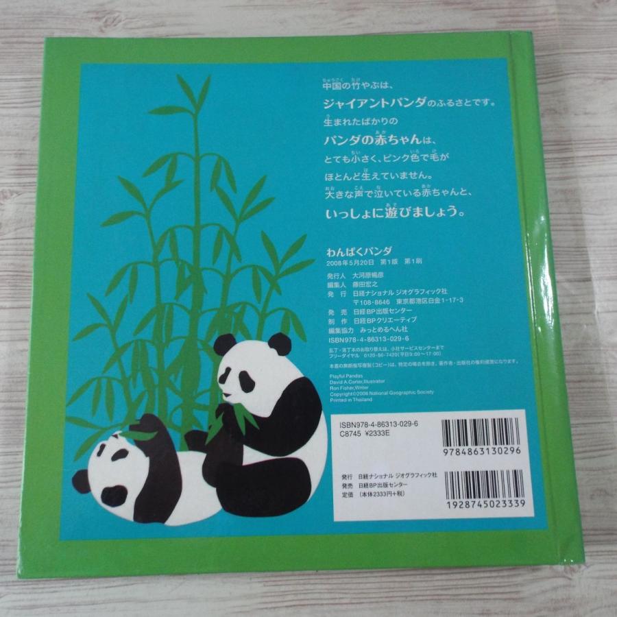 仕掛絵本[立体えほんわんぱくパンダ（一部破損）]ナショナルジオ