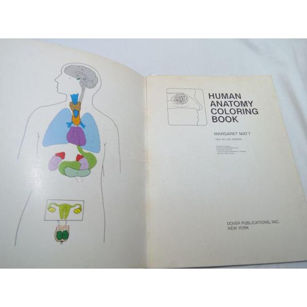 塗り絵[HUMAN ANATOMY Coloring Book（人体解剖図の塗り絵）] 人体図鑑