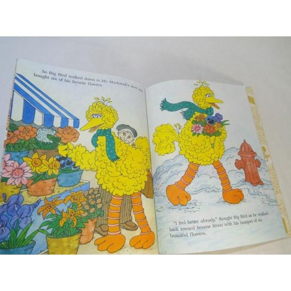 セサミストリート Big Bird Brings Spring to Sesame Street GOLDEN