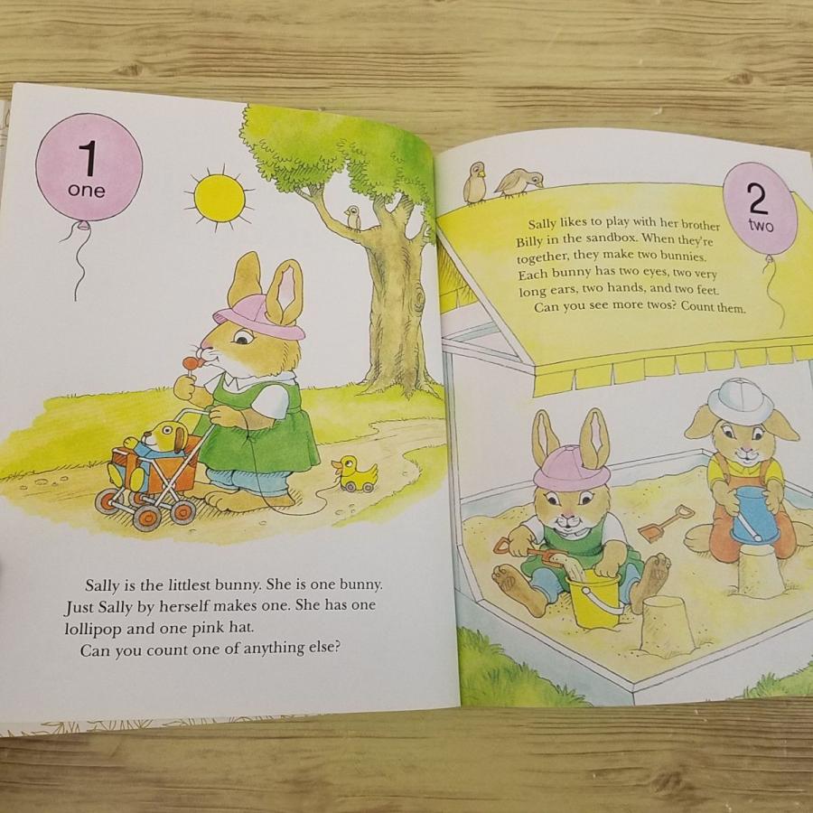外国語絵本[The Bunnies' Counting Book] 洋書 英語絵本 知育絵本