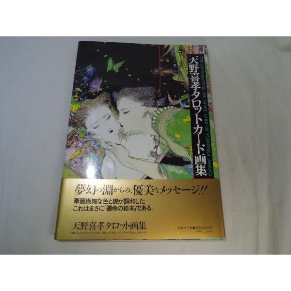 天野嘉孝 タロットカード画集 天野喜孝 光風社出版 : FUNFUNほうむず