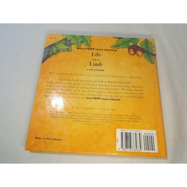 仕掛絵本[Life on a Limb : A POP-UP BOOK] 洋書 英語絵本