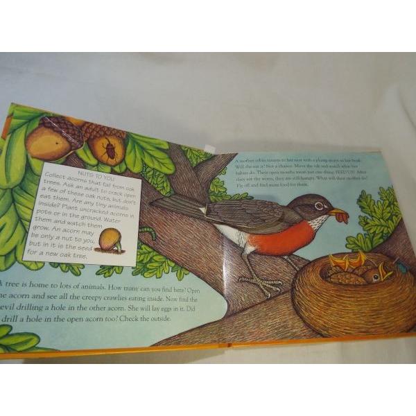 仕掛絵本[Life on a Limb : A POP-UP BOOK] 洋書 英語絵本