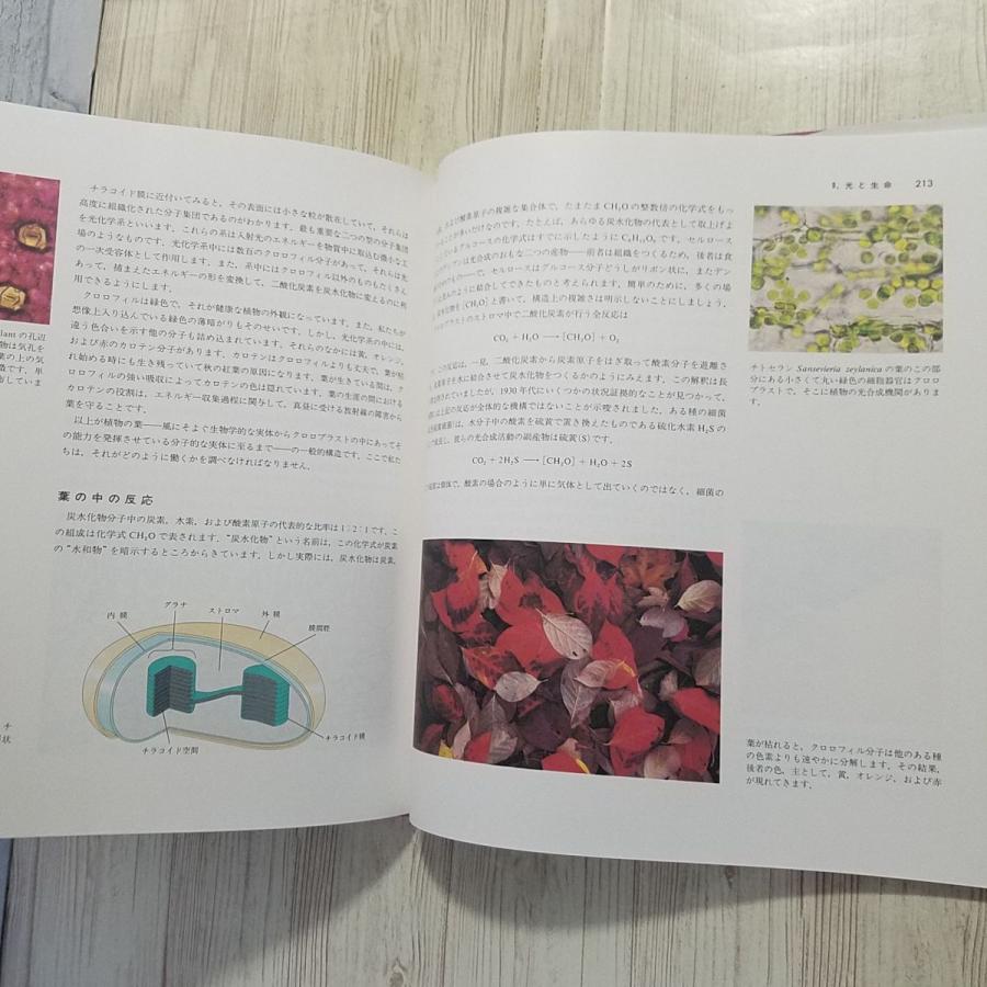科学[新ロウソクの科学 ： 化学変化はどのようにおこるか] ピーター