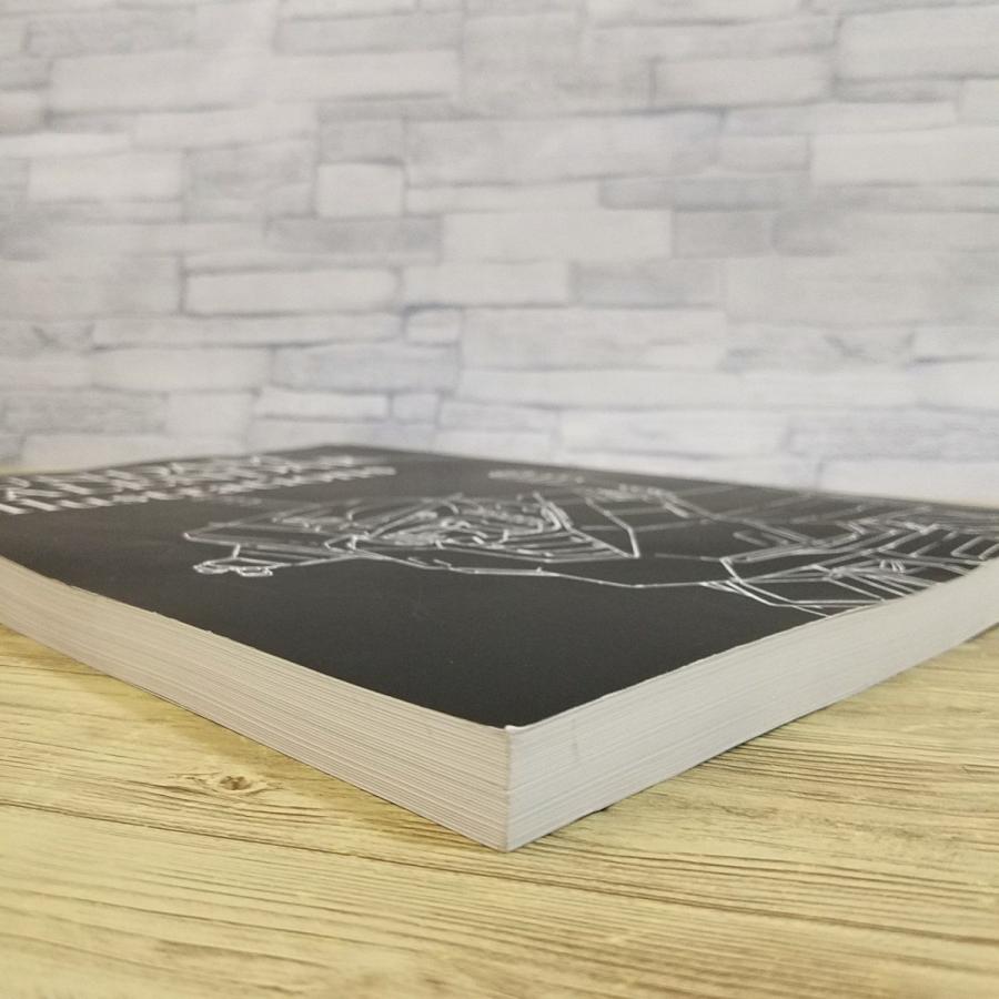 イラスト集[ガンダムカレンダーイラストレーションズ（破れ有