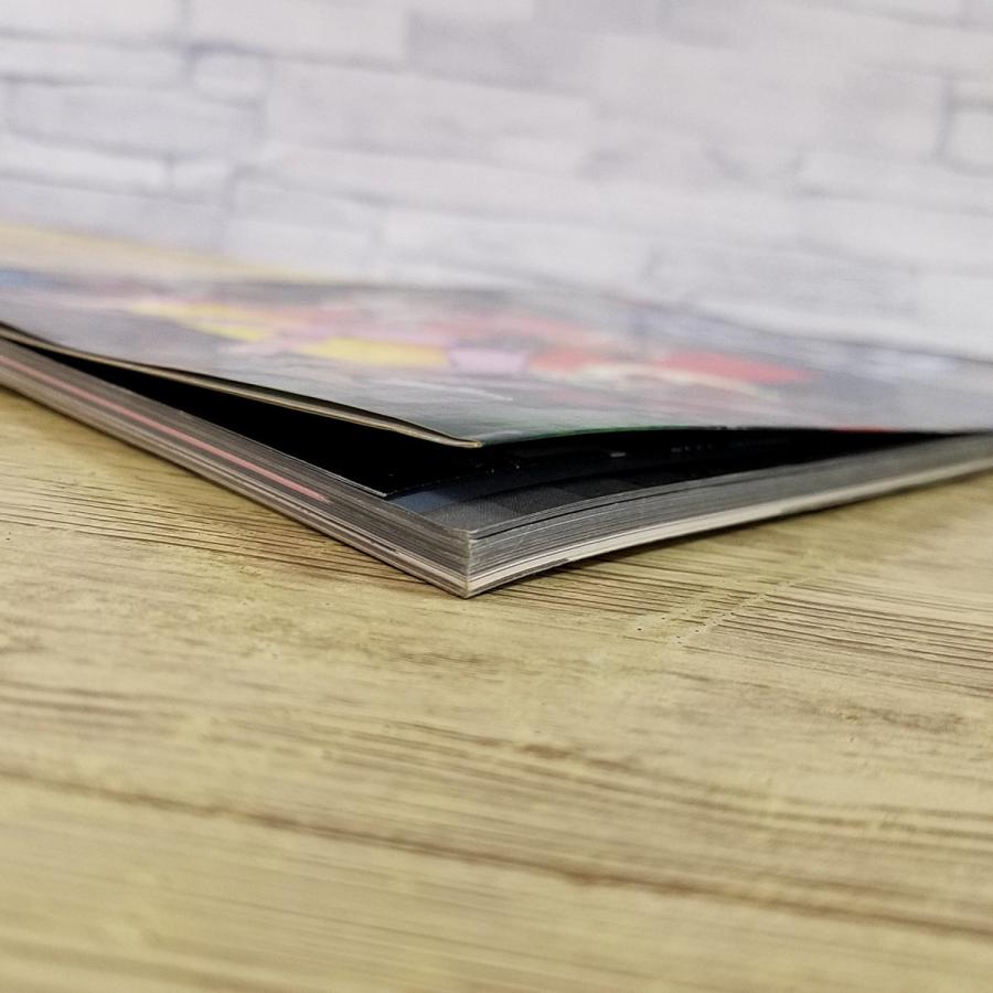 模型関連[スターフロント・ガルフォース(1986年7月発行）] モデル