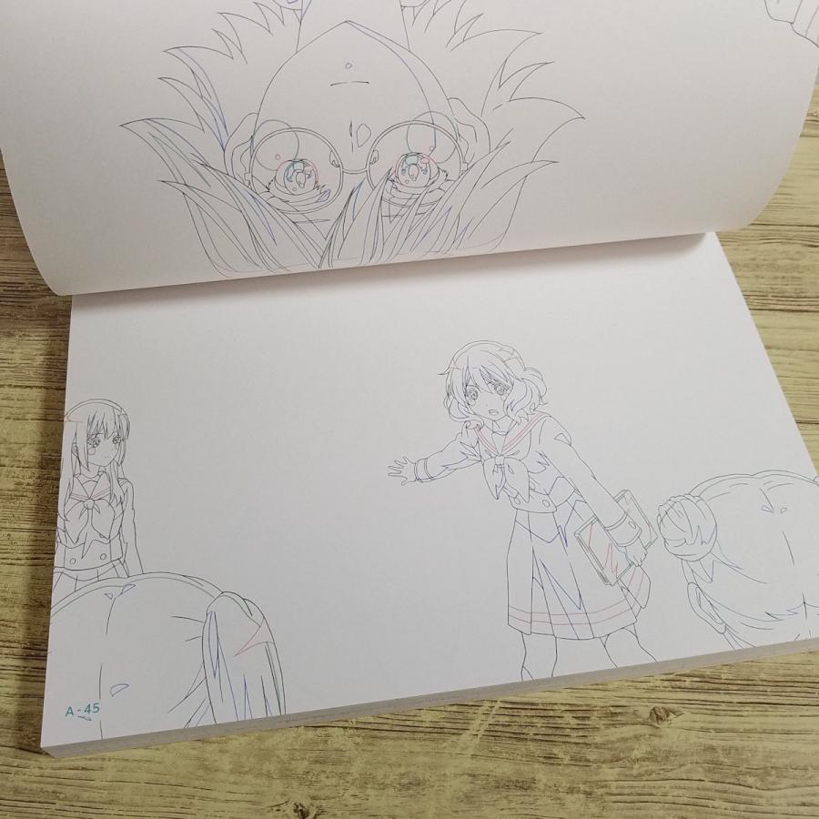 特別編　響け！ユーフォニアム　原画集 響け！ユーフォニアム」シリーズ 新商品 2/5】 🎺「原画集」予約受付中
